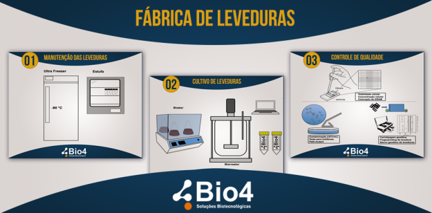 fabrica_leveduras